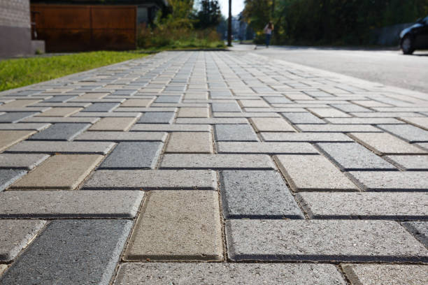 Best Local Driveway Pavers  in Lemmon, SD